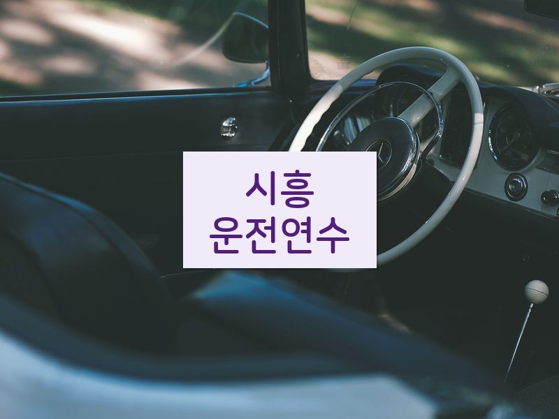 시흥운전연수 후기