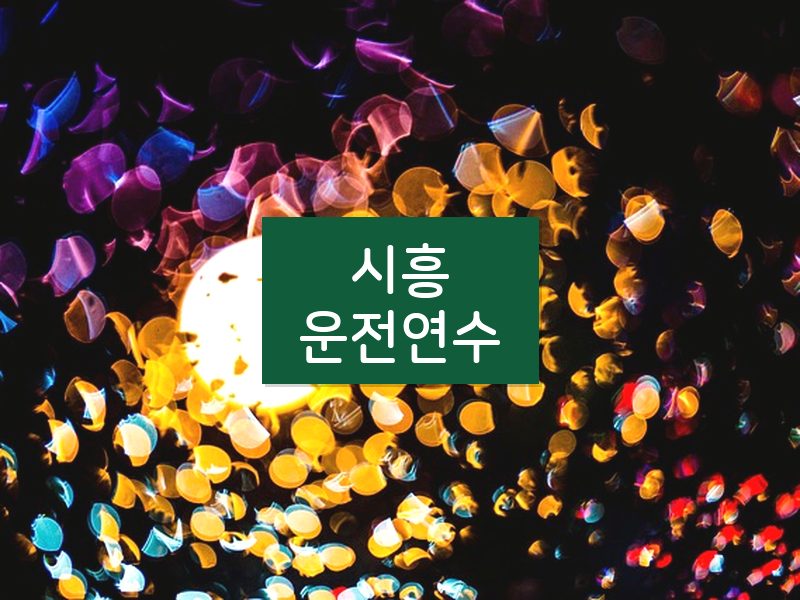 시흥운전연수 후기