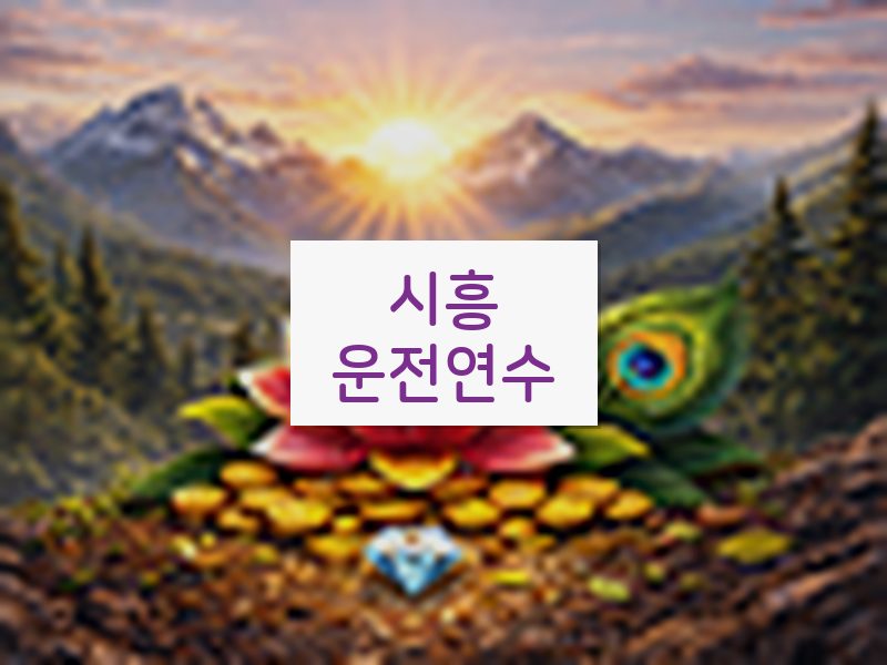시흥운전연수 후기