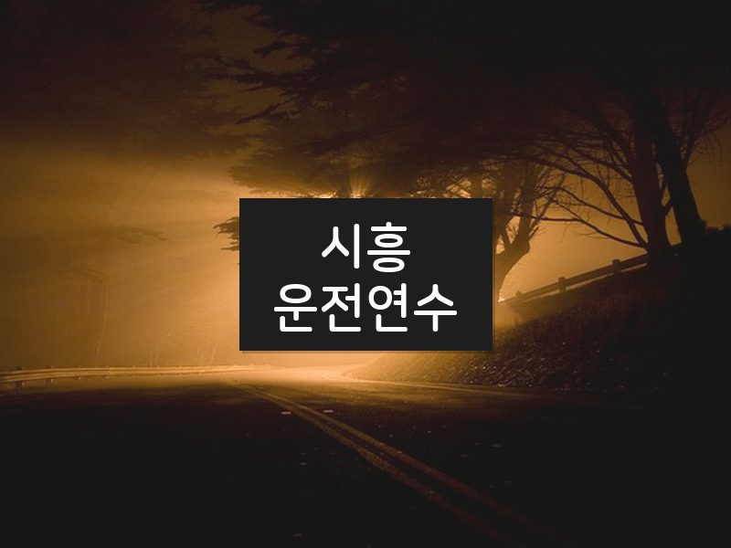 시흥운전연수 후기