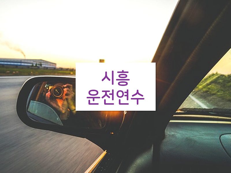 시흥운전연수 후기