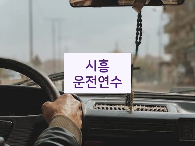 시흥운전연수 후기