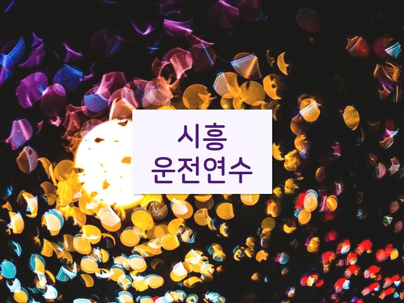 시흥운전연수 후기