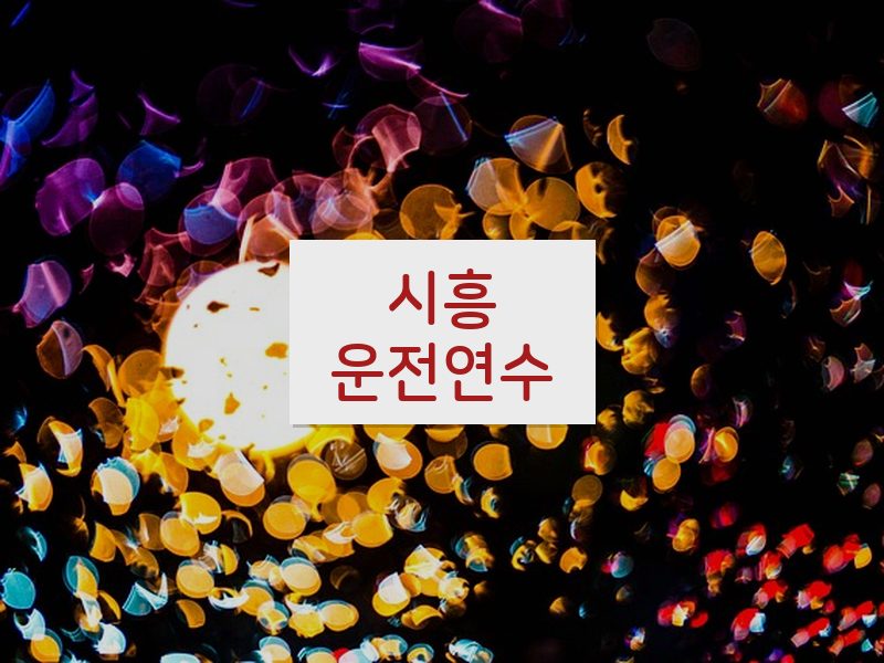 시흥운전연수 후기