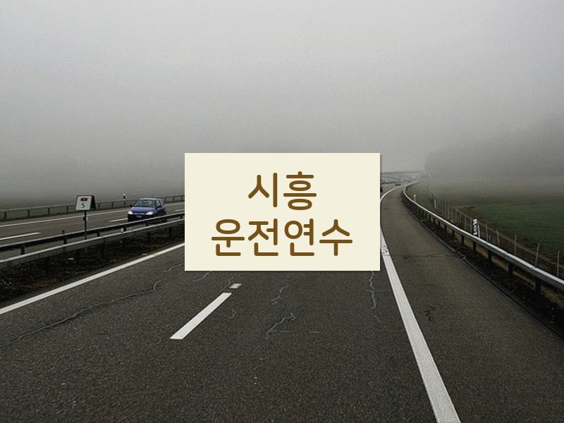 시흥운전연수 후기