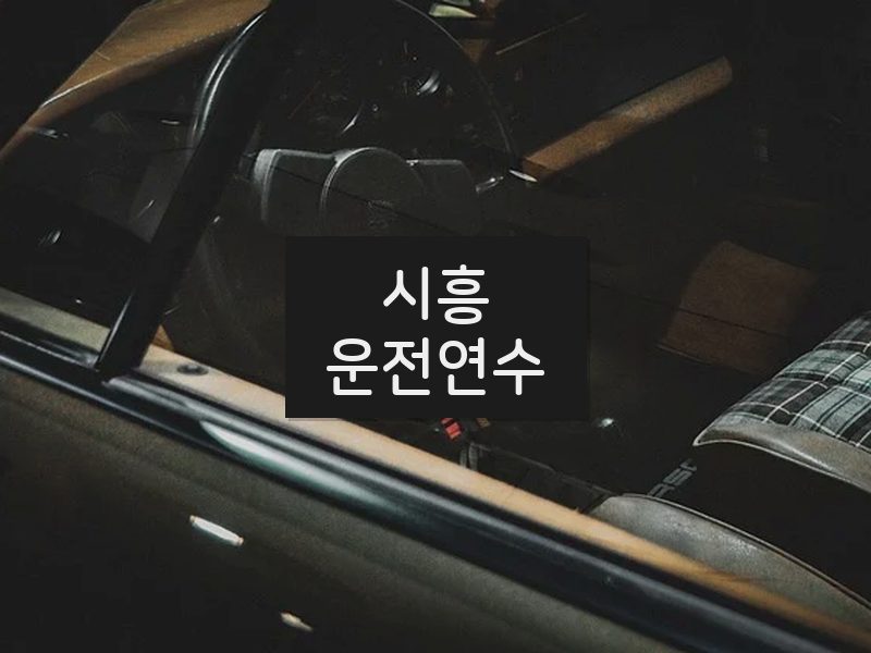 시흥운전연수 후기