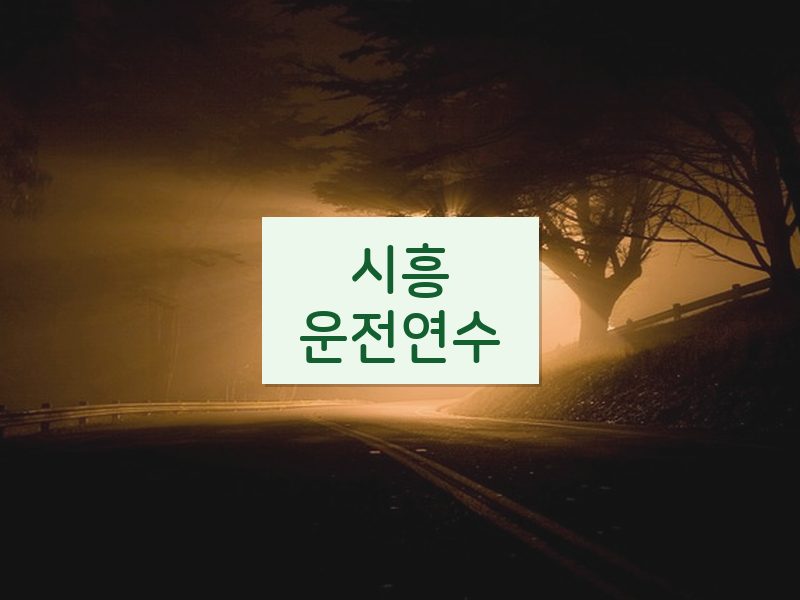시흥운전연수 후기
