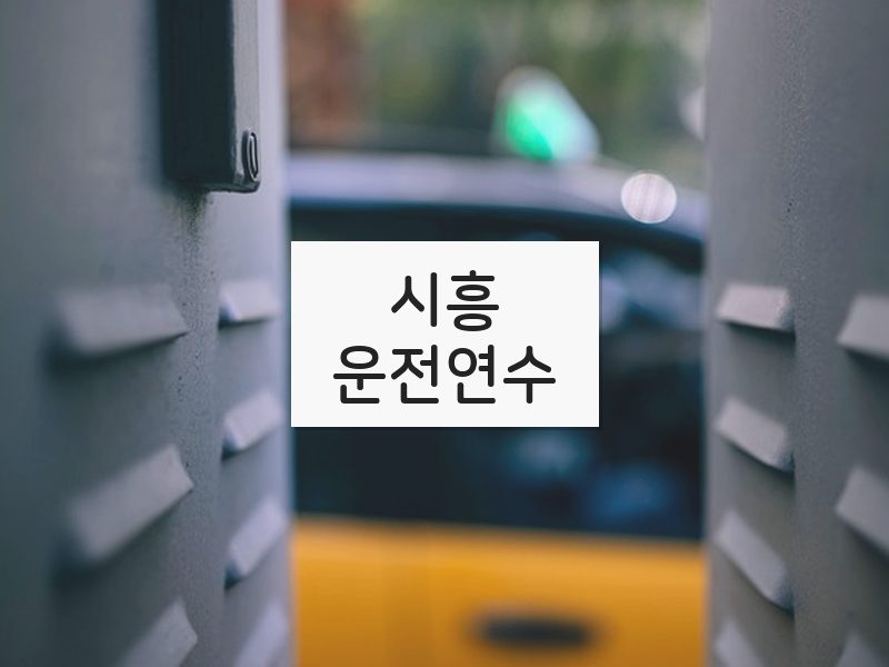 시흥운전연수 후기