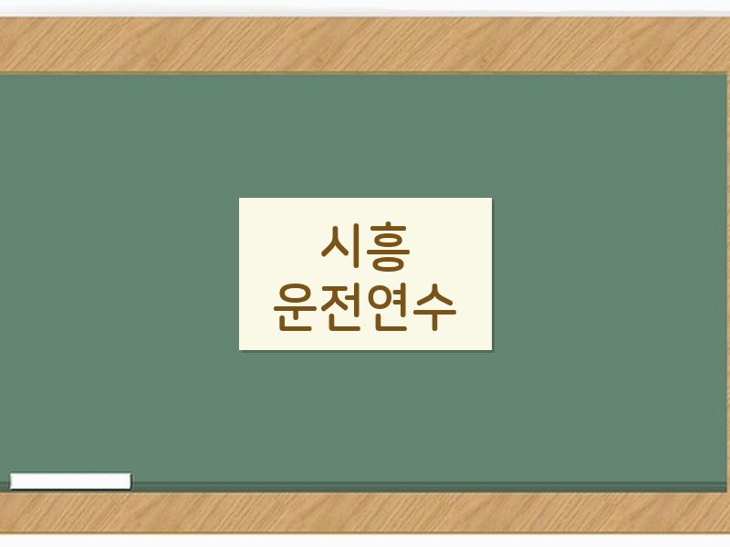 시흥운전연수 후기