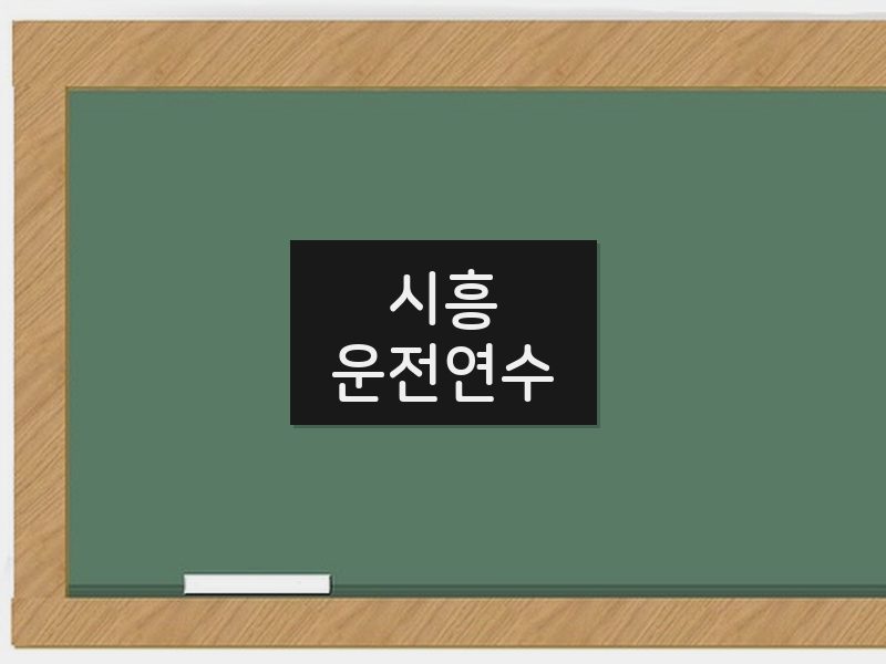 시흥운전연수 후기