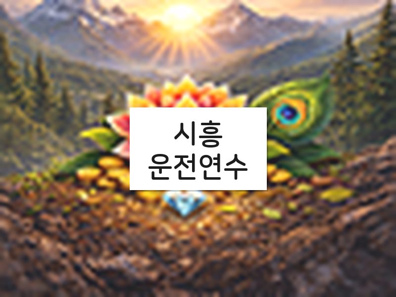 시흥운전연수 후기