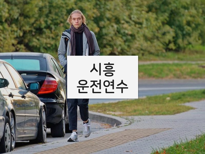 시흥운전연수 후기
