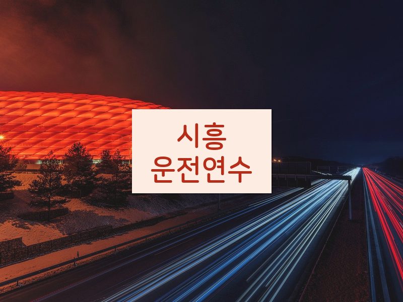 시흥운전연수 후기