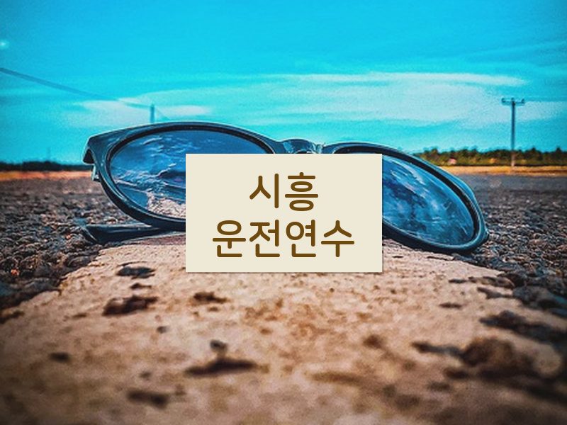 시흥운전연수 후기