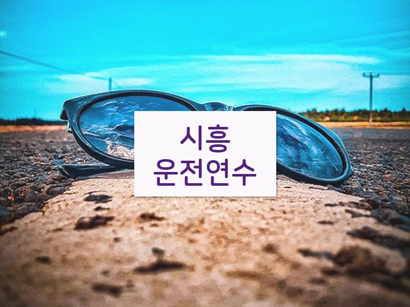 시흥운전연수 후기
