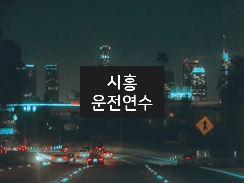 시흥운전연수 후기