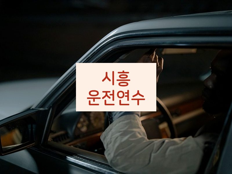 시흥운전연수 후기