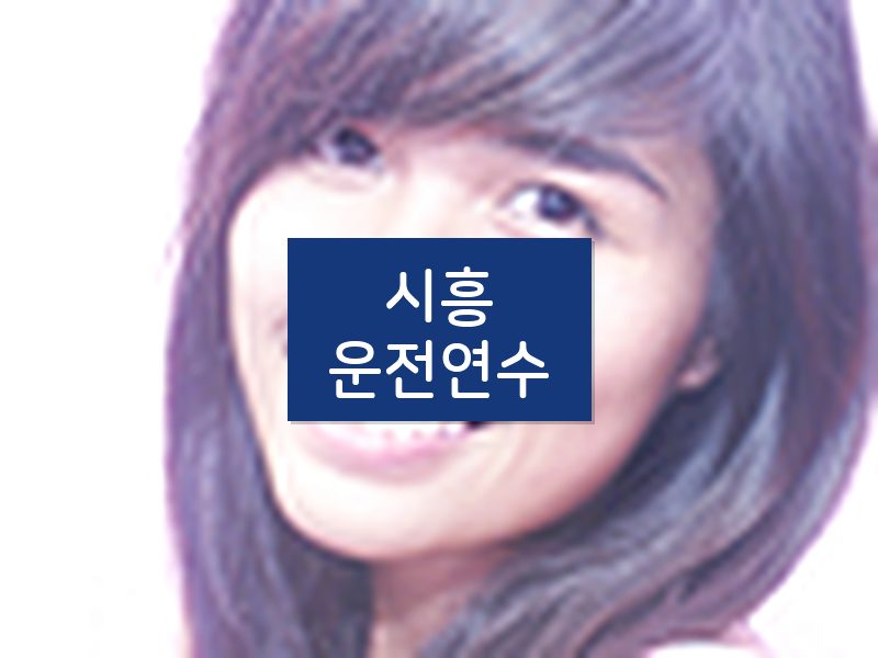 시흥운전연수 후기