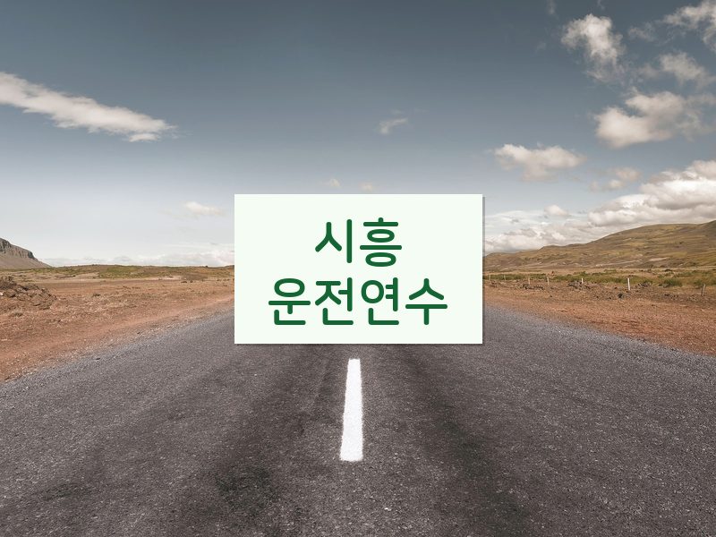 시흥운전연수 후기