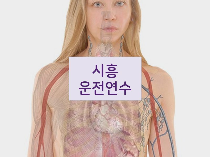 시흥운전연수 후기