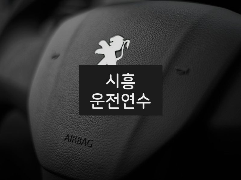 시흥운전연수 후기