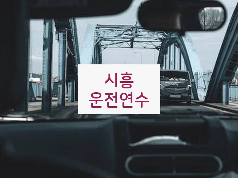시흥운전연수 후기