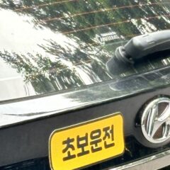 부천에서 운전연수 받은 솔직 후기