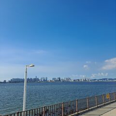 운전이 재밌어졌어요 후기 이미지
