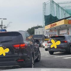 [시흥] 장롱면허 운전연수 추천 후기 비용 가격 정리