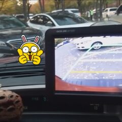 [시흥] 밤운전연수 3일 만에 장롱면허 탈출 후기