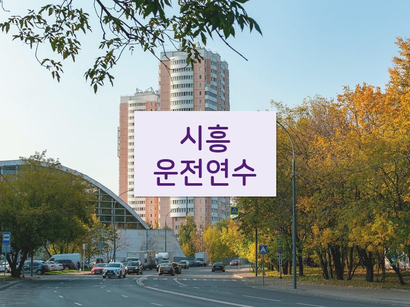 시흥운전연수 후기