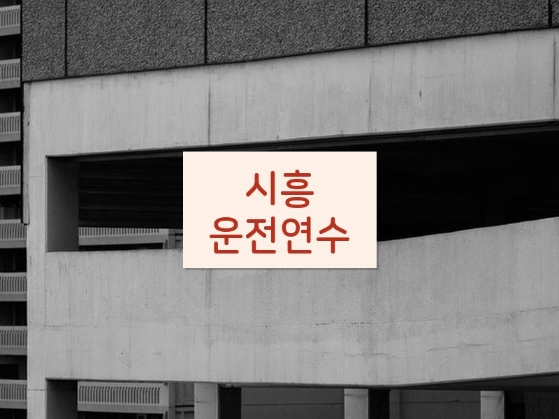 시흥운전연수 후기