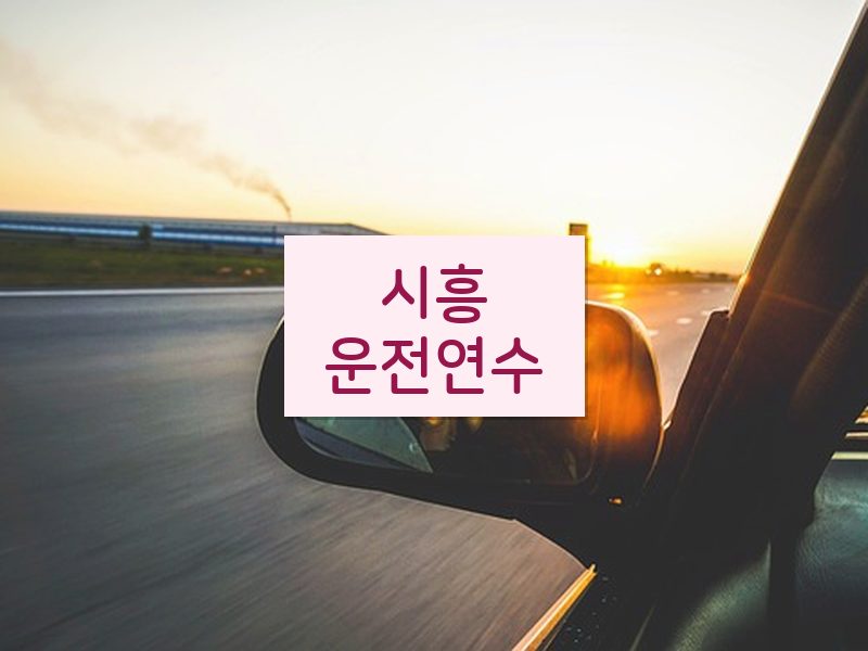 시흥운전연수 후기