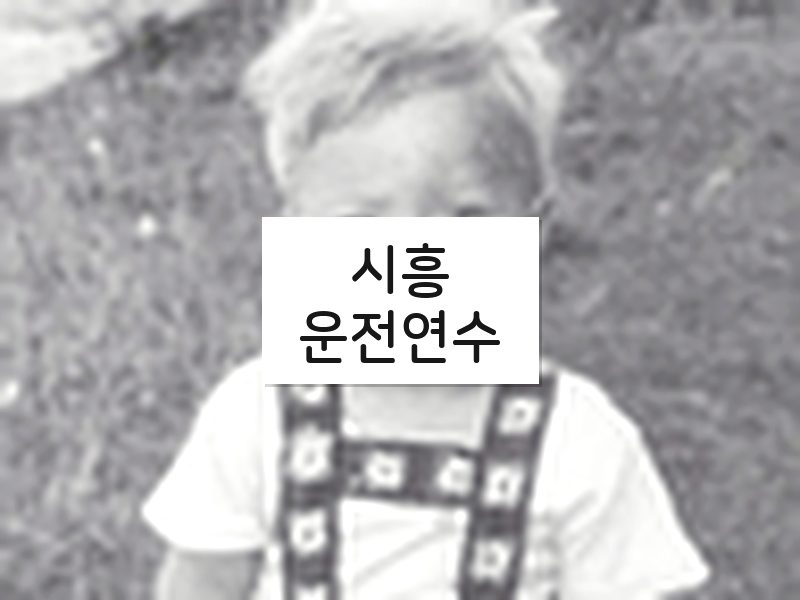 시흥운전연수 후기