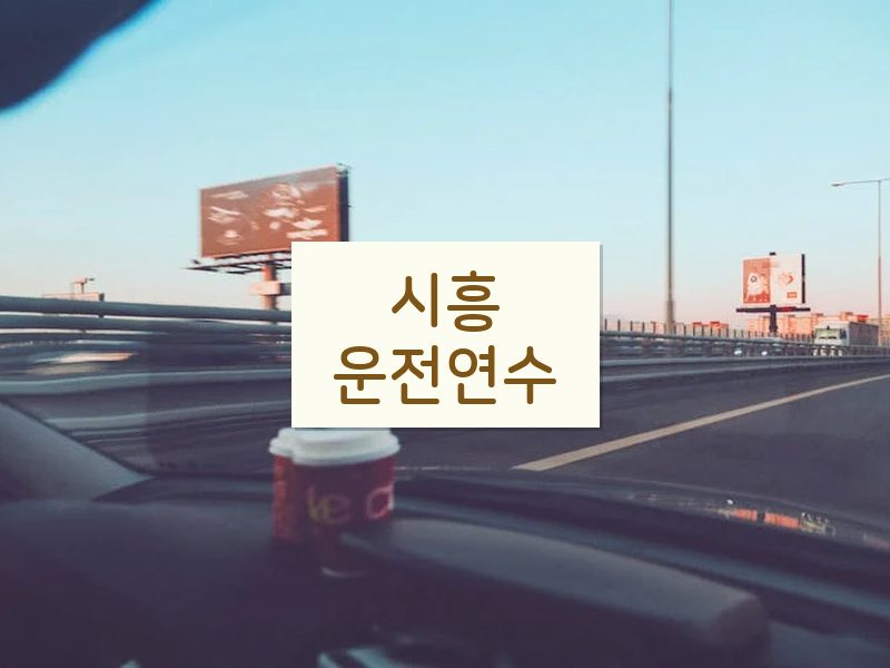 시흥운전연수 후기