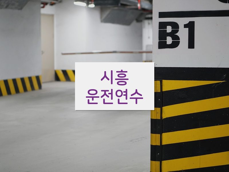 시흥운전연수 후기