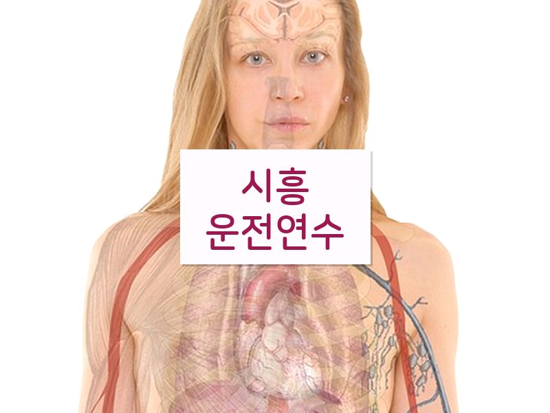 시흥운전연수 후기