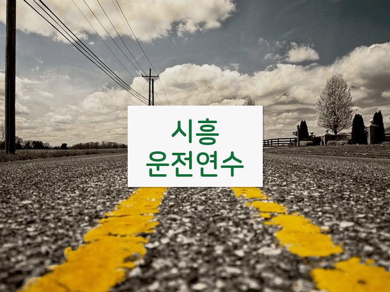 시흥운전연수 후기