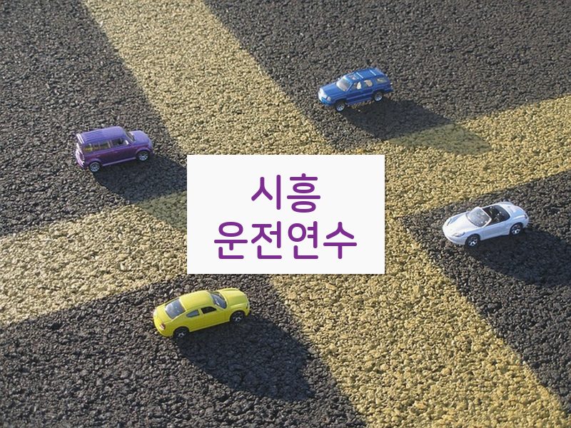 시흥운전연수 후기
