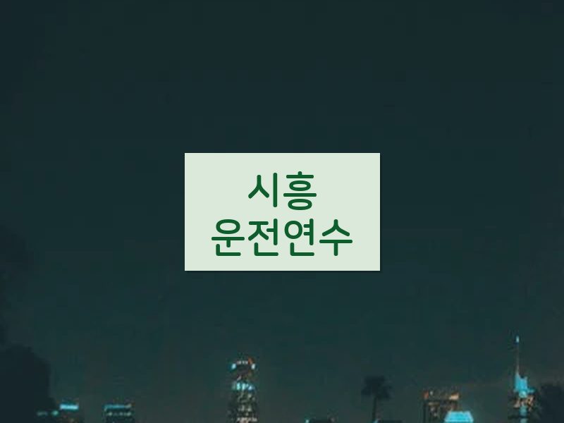 시흥운전연수 후기