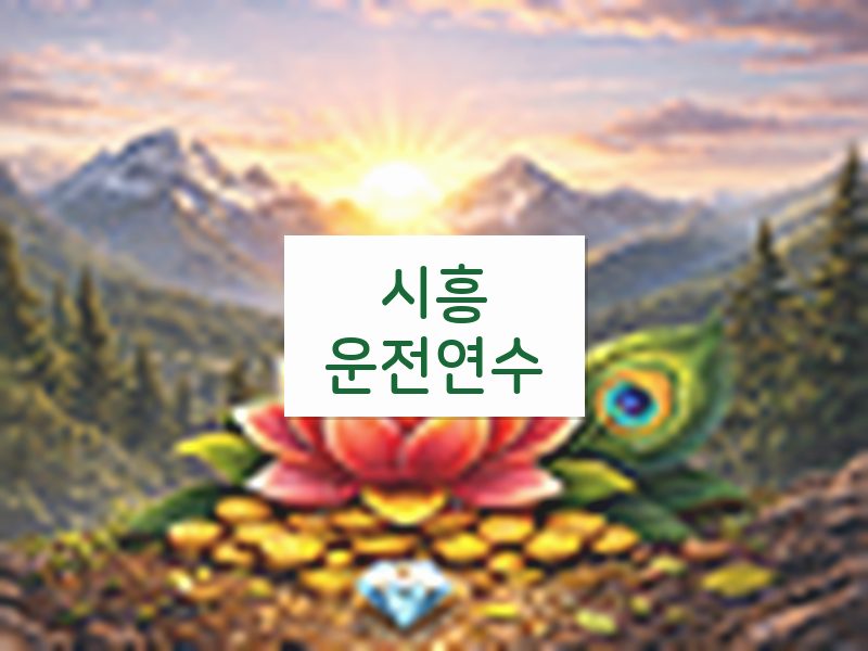 시흥운전연수 후기