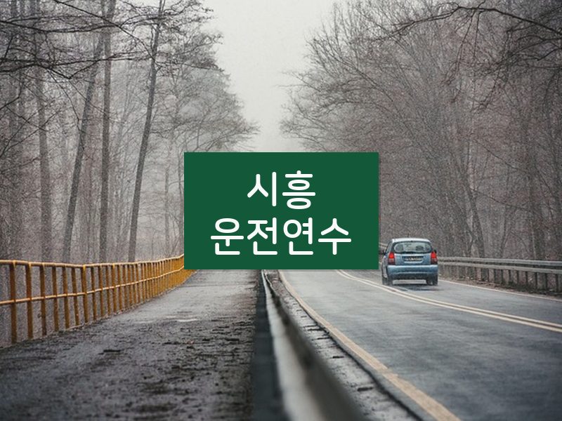 시흥운전연수 후기