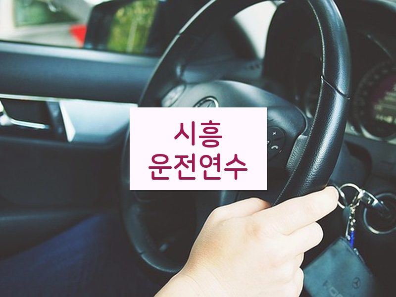 시흥운전연수 후기