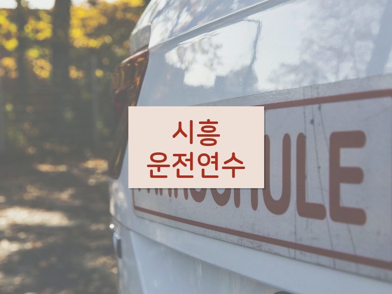 시흥운전연수 후기