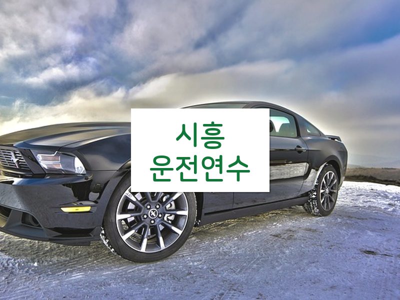 시흥운전연수 후기