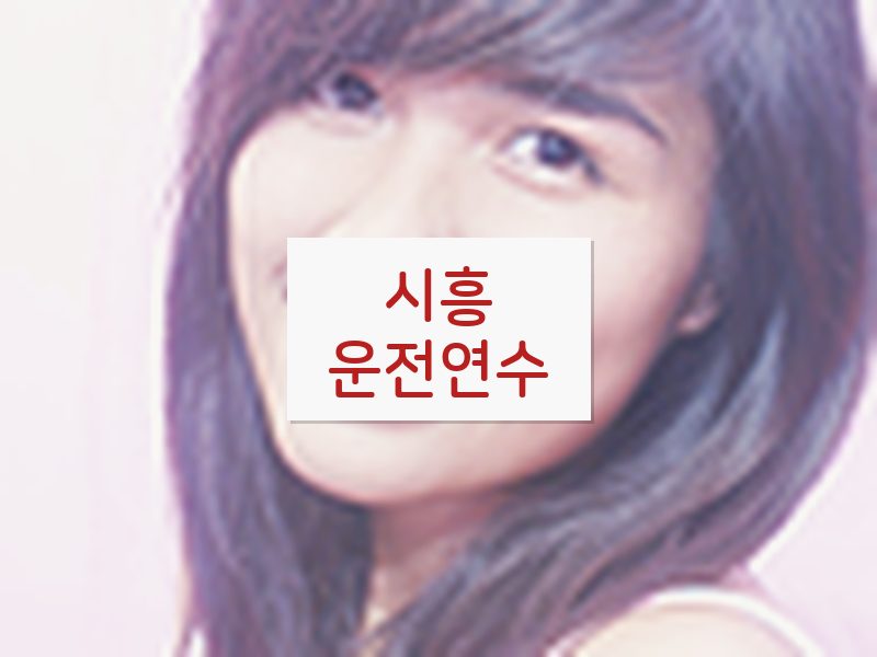 시흥운전연수 후기