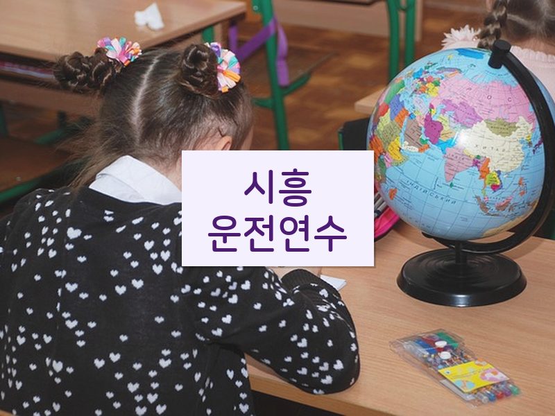 시흥운전연수 후기