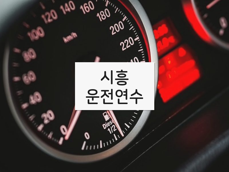 시흥운전연수 후기