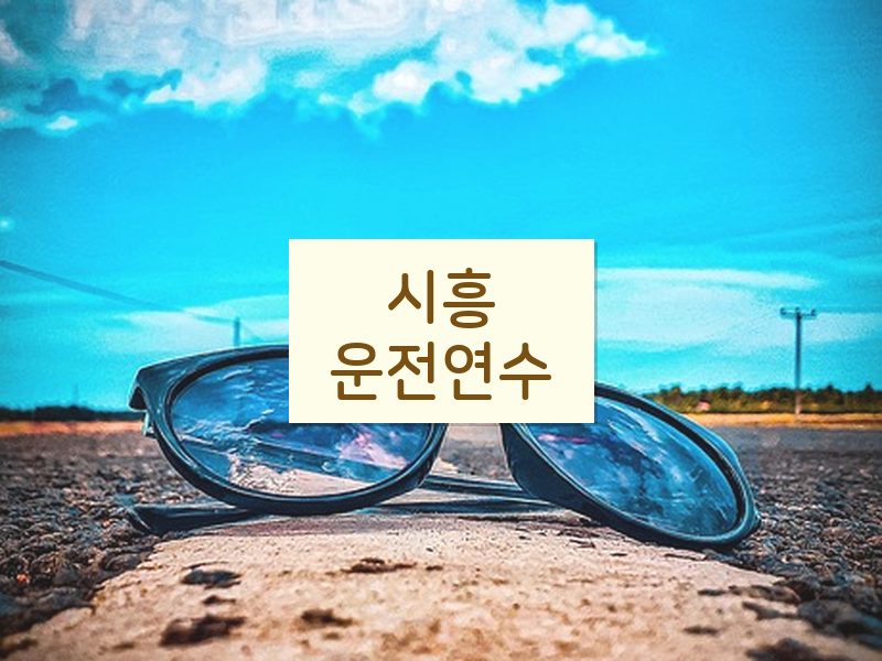 시흥운전연수 후기
