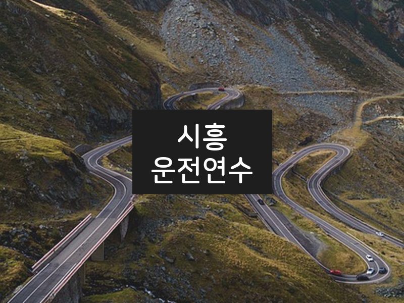시흥운전연수 후기